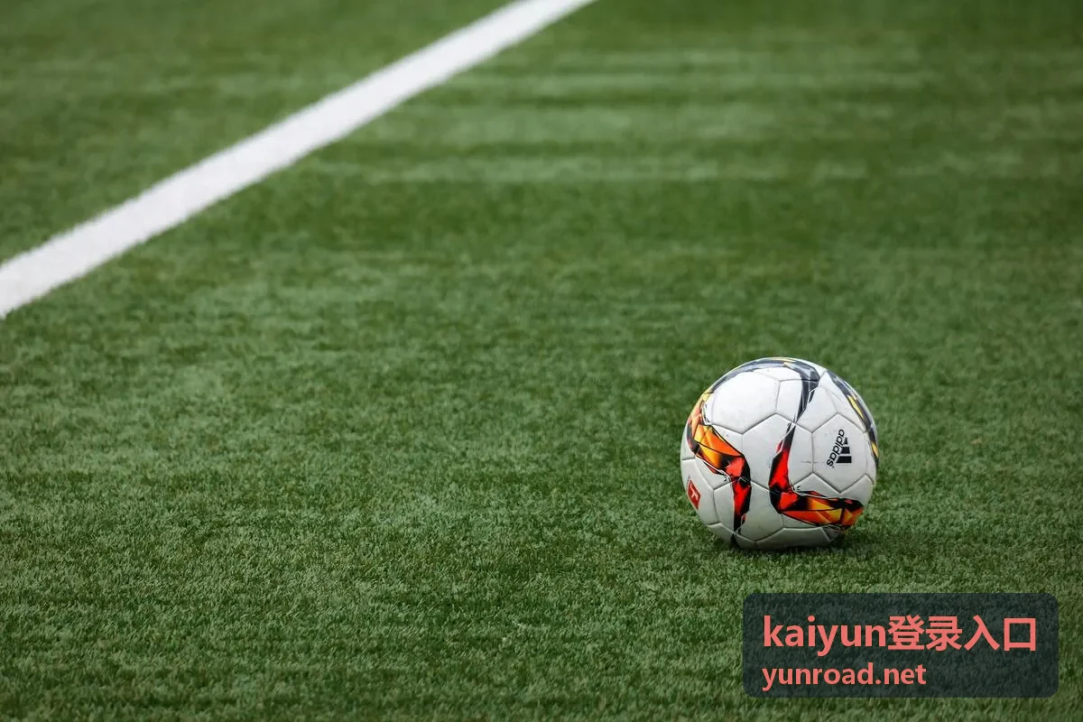 kaiyun登录入口登录流程示意